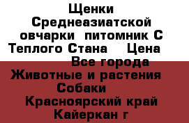 Щенки Среднеазиатской овчарки (питомник С Теплого Стана) › Цена ­ 20 000 - Все города Животные и растения » Собаки   . Красноярский край,Кайеркан г.